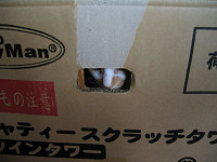 chococo138_thumb.jpg