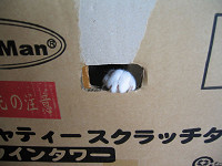 chococo140_thumb.jpg