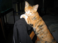 119_1912_thumb.jpg