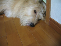 121_2129__thumb.jpg