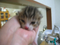 121_2134__thumb.jpg