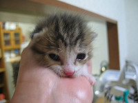 121_2135__thumb.jpg