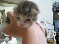 121_2136__thumb.jpg
