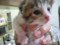 121_2137__thumb.jpg