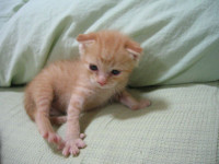 121_2155__thumb.jpg