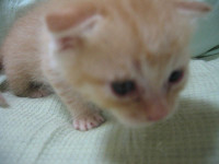 121_2166__thumb.jpg